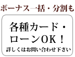 ボーナス一括・分割も 各種カード・ローンOK!